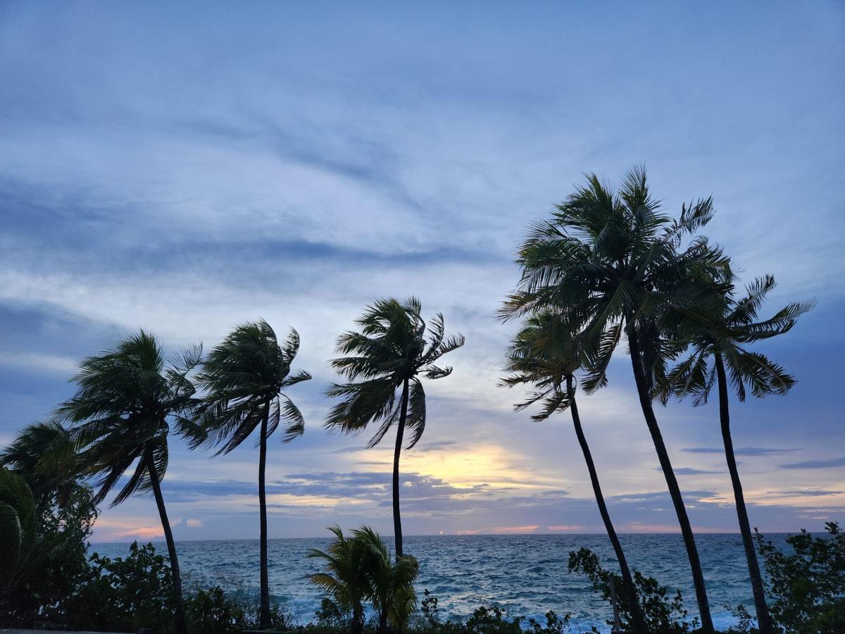 Primary Image for 5K0UA