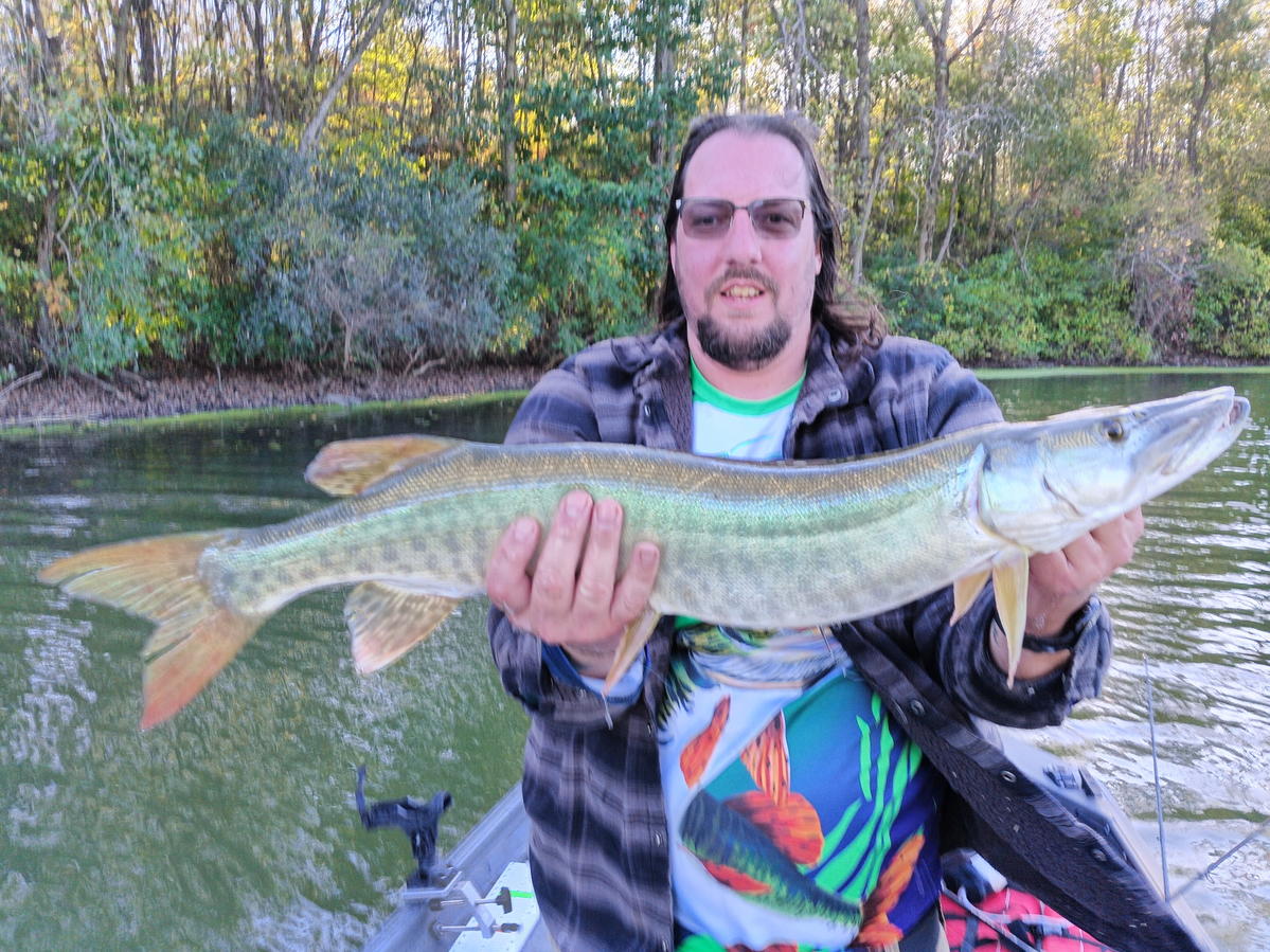 Primary Image for AA8EA