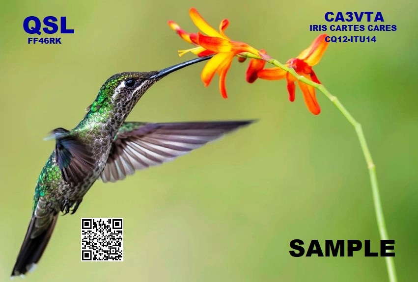 Primary Image for CA3VTA