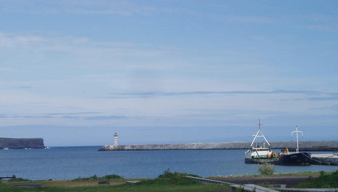 Primary Image for CR1NRA