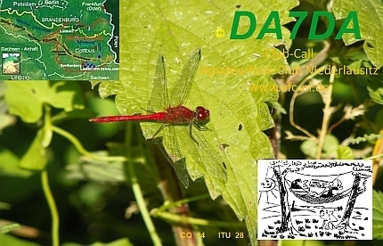 Primary Image for DA7DA