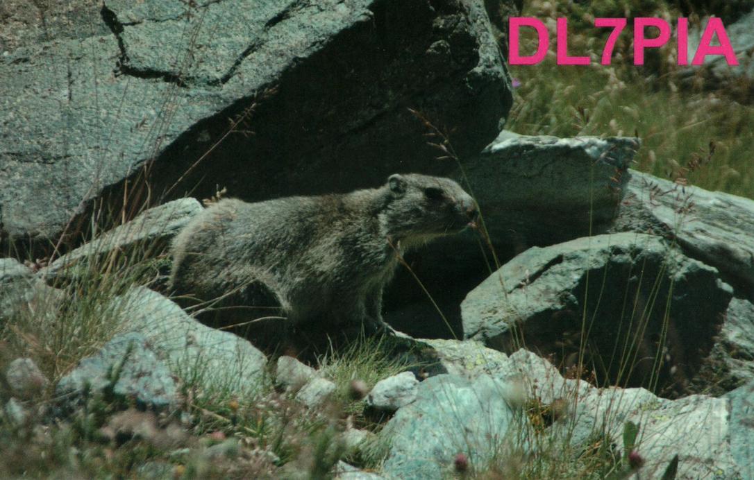 Primary Image for DL7PIA