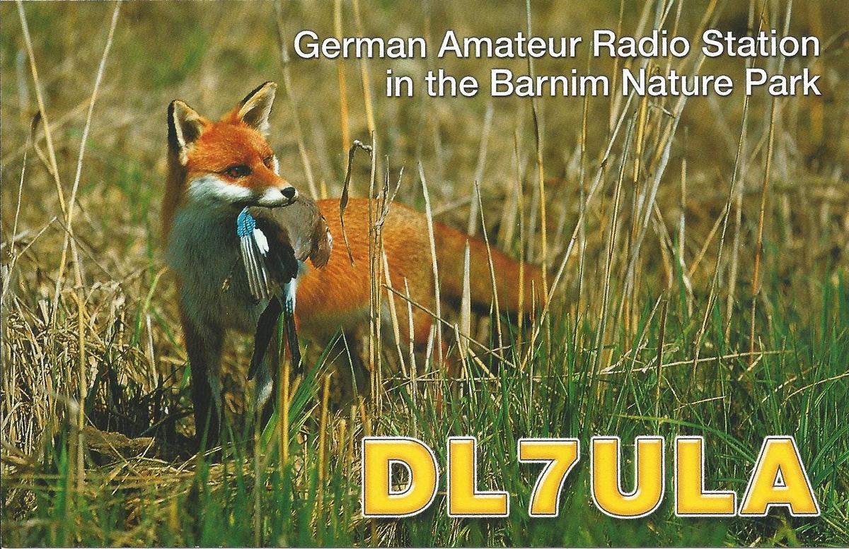 Primary Image for DL7ULA