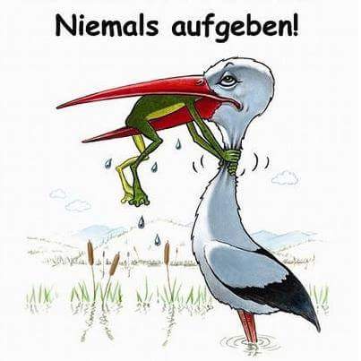 Primary Image for DO2EVA