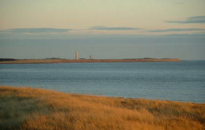 Primary Image for GM3DRA