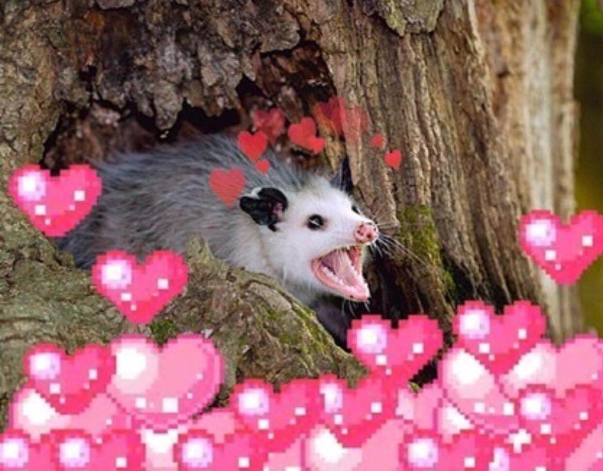 Primary Image for HF0AAAAAA