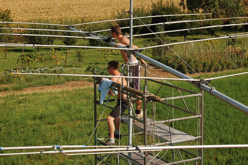 Primary Image for IW3SSA