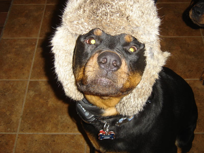 Primary Image for KE8DZA