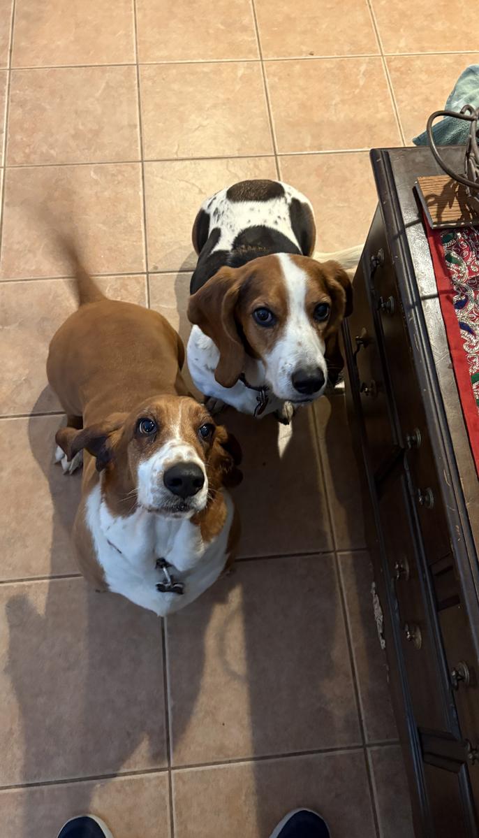 Primary Image for KF4TA