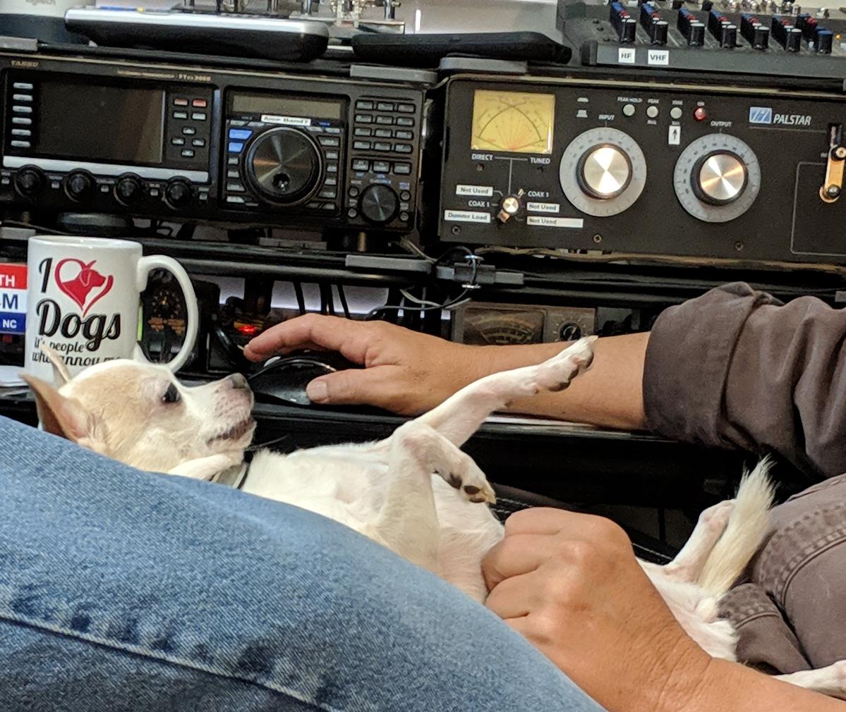 Primary Image for KQ7A