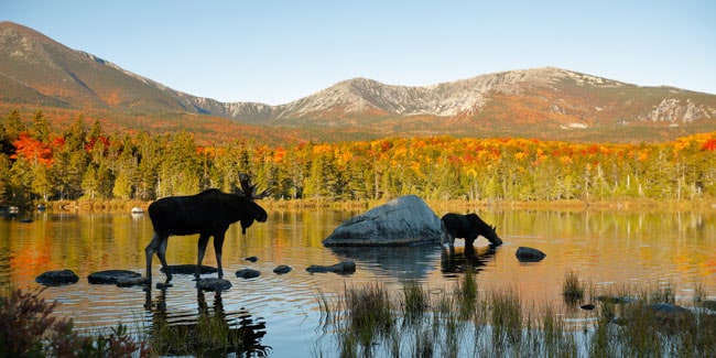 Primary Image for KW1A