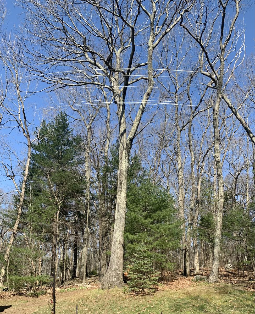 Primary Image for N1PGA