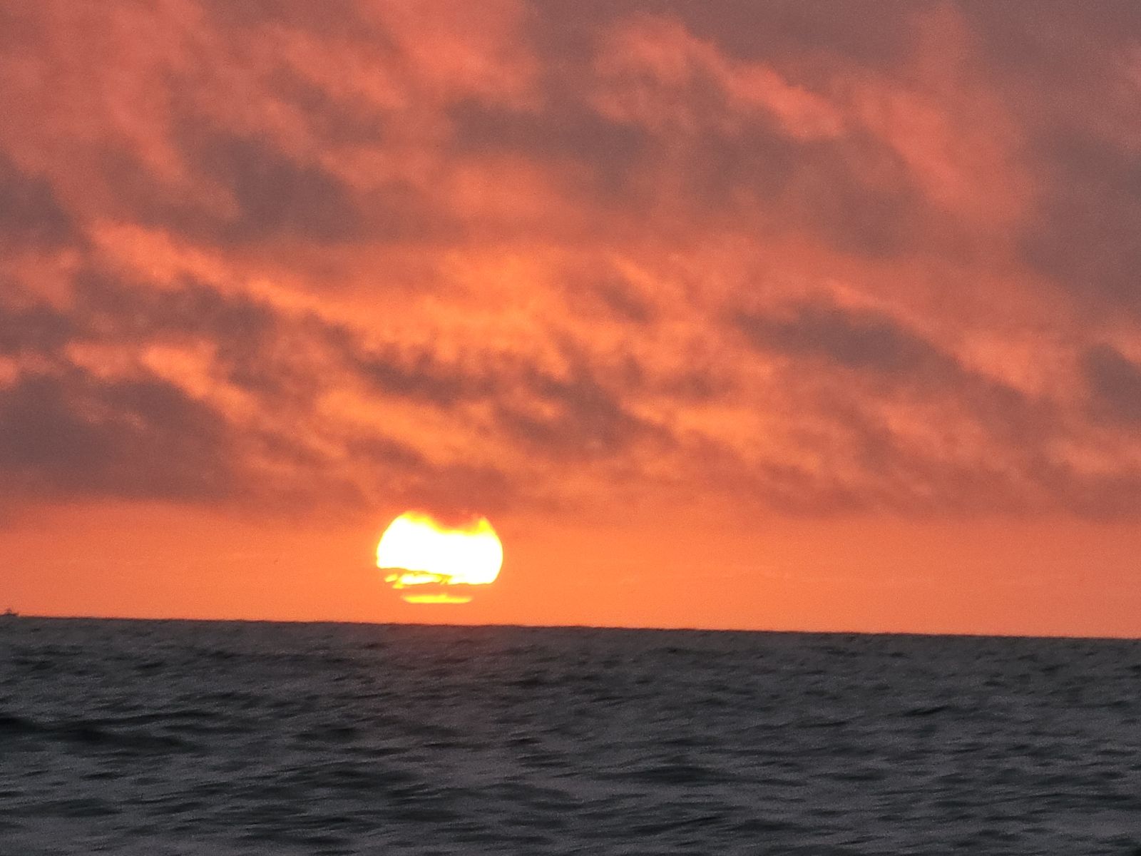 Primary Image for NM6A