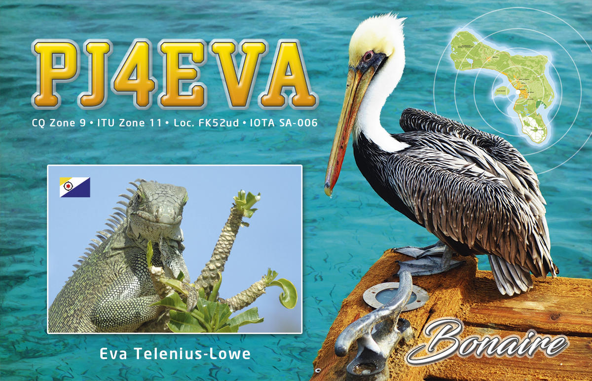 Primary Image for PJ4EVA