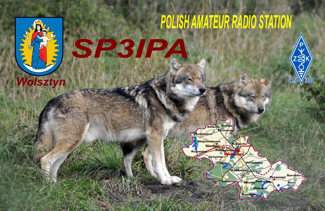 Primary Image for SP3IPA