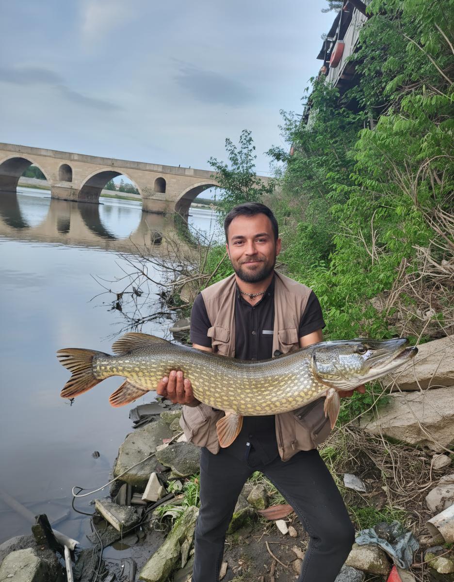 Primary Image for TA1PA