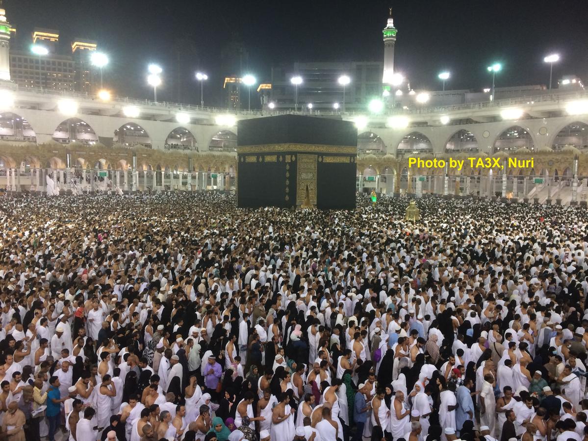 Primary Image for TC630MECCA