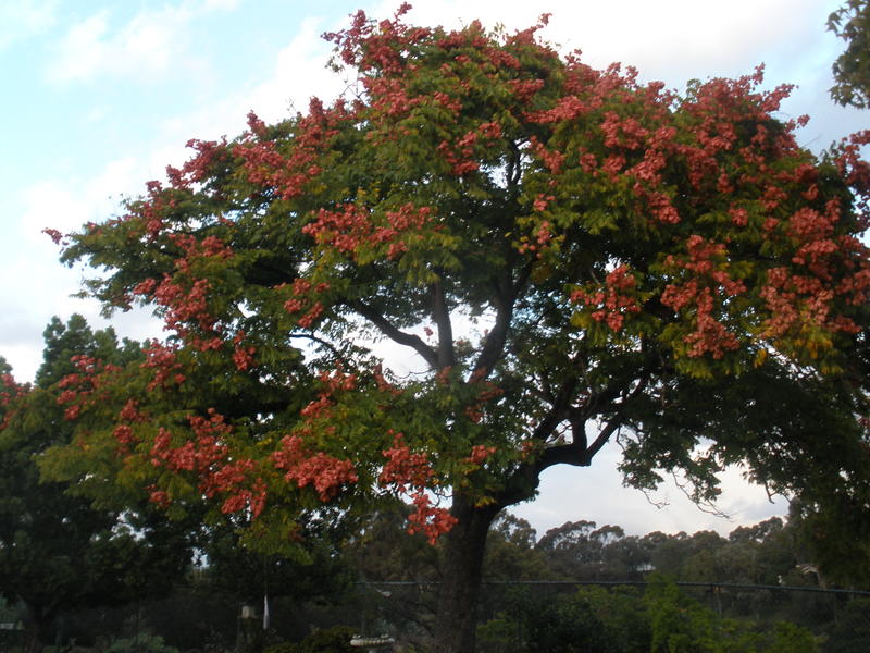 Primary Image for WB6SQA