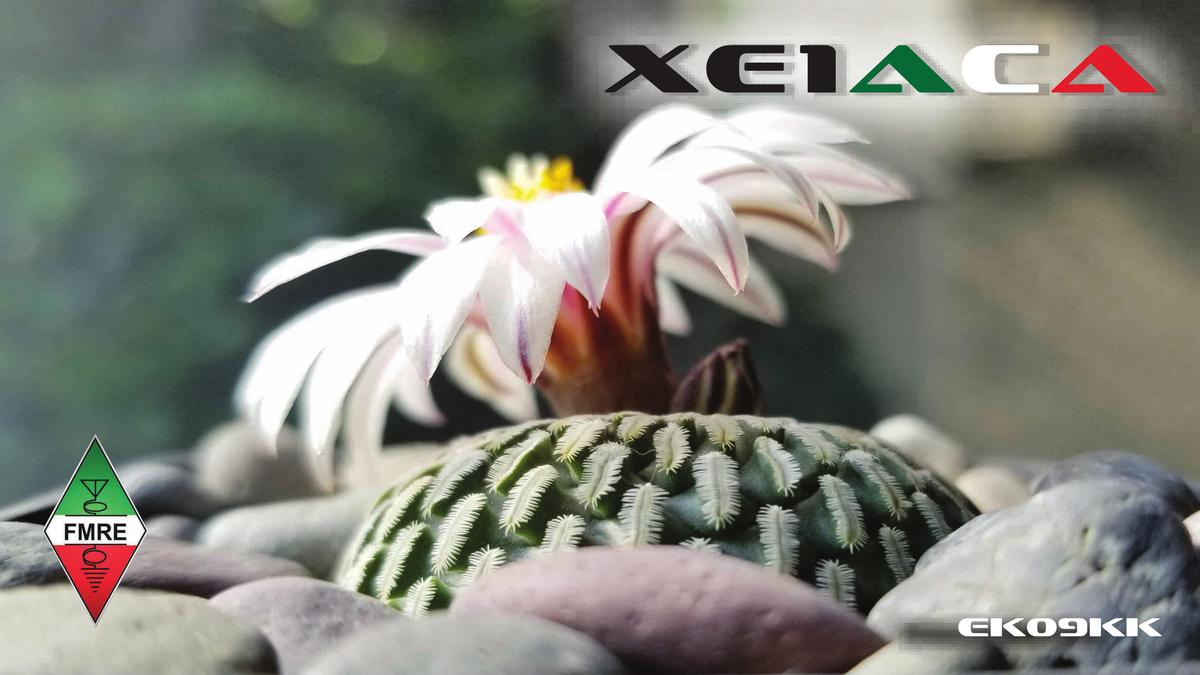 Primary Image for XE1ACA