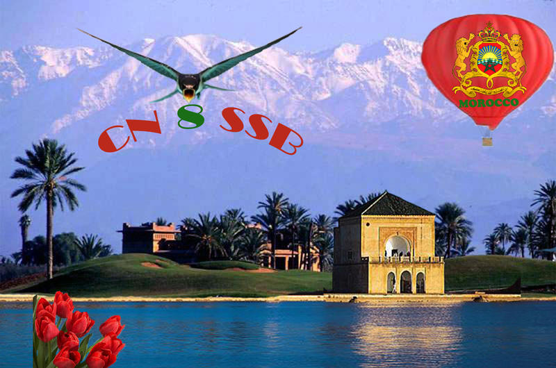 Primary Image for CN8SSB