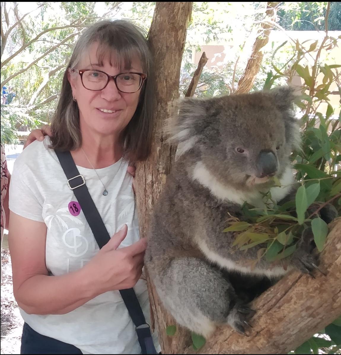 Primary Image for DG3DB