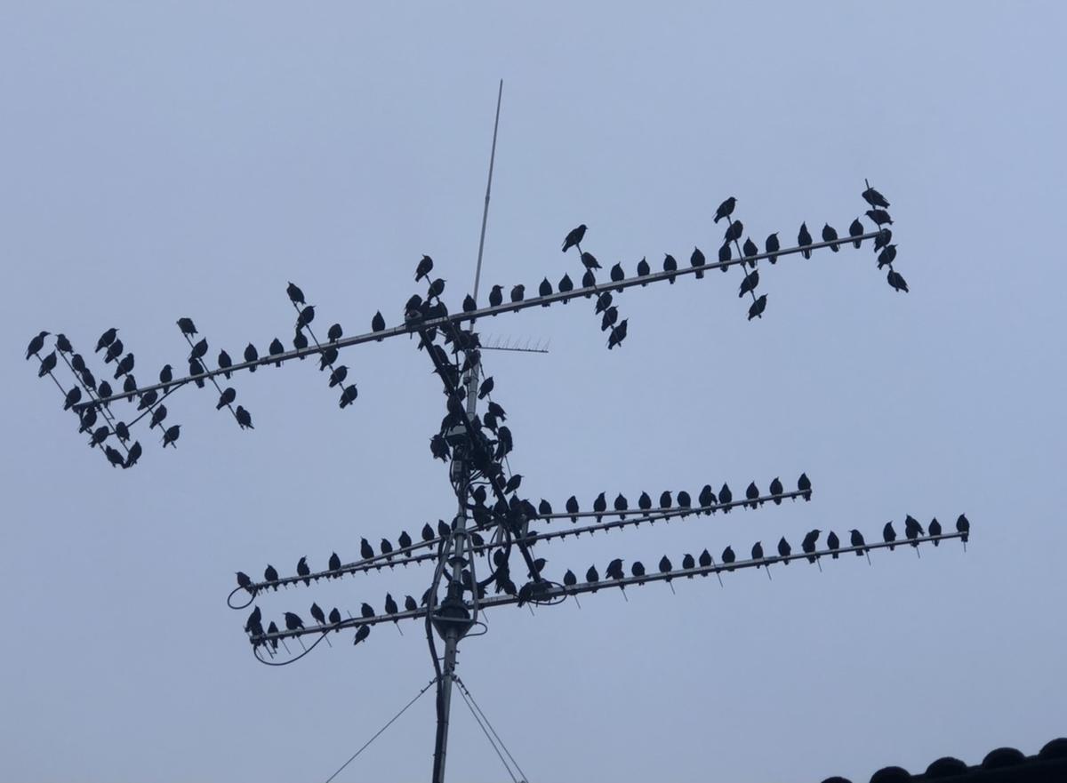 Primary Image for EI5HHB