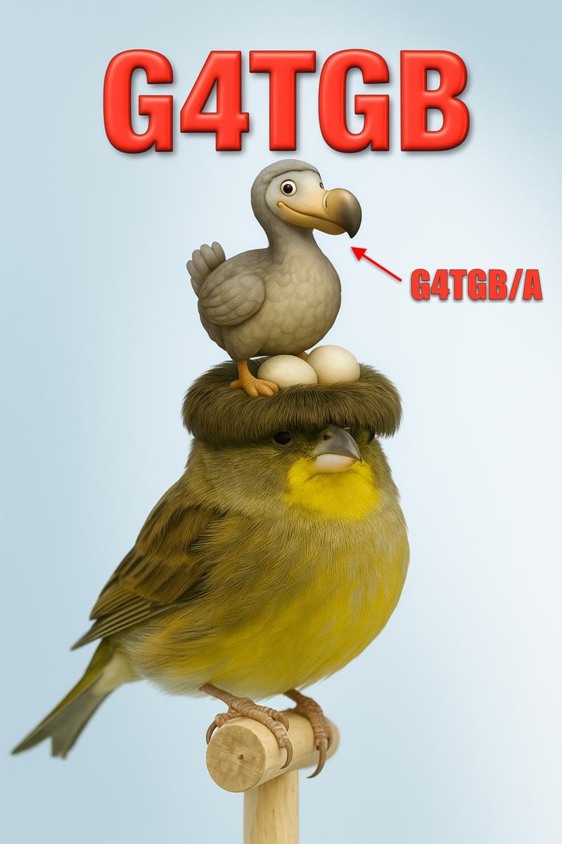 Primary Image for G4TGB