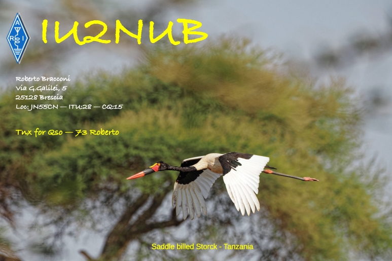Primary Image for IU2NUB