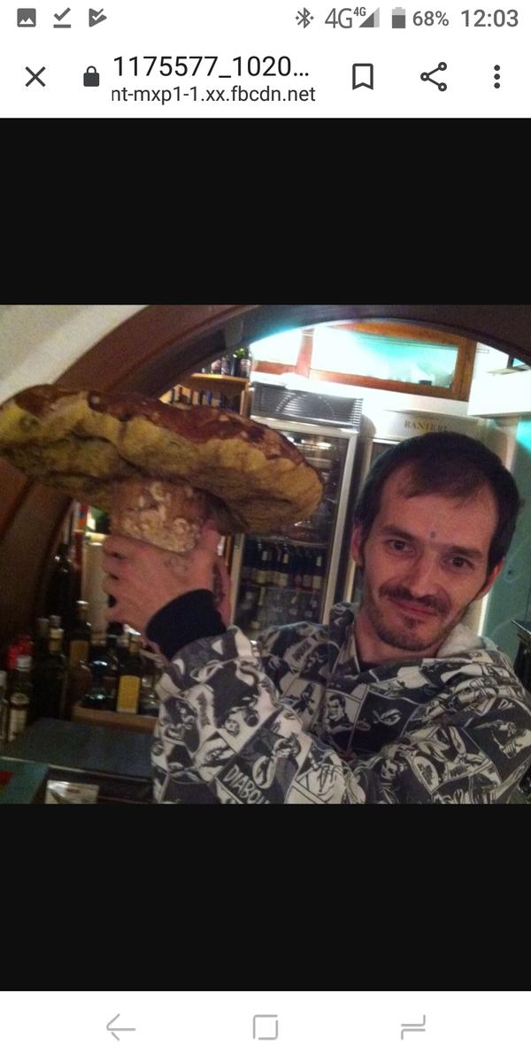 Primary Image for IU2PZB