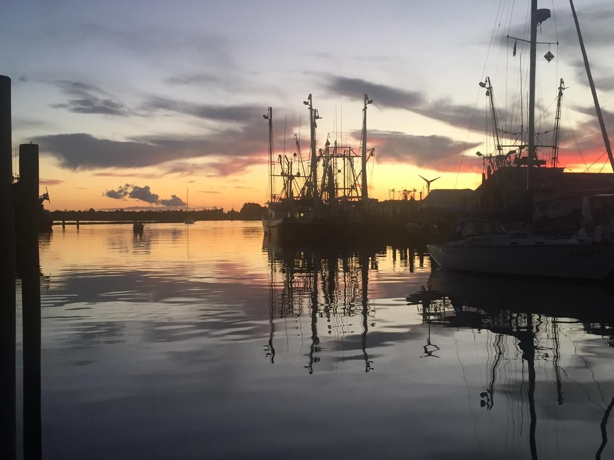 Primary Image for K4MMB