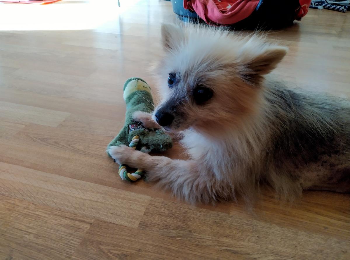 Primary Image for M9XBB