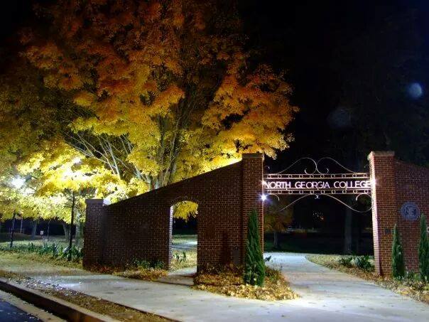 Primary Image for N4PAB