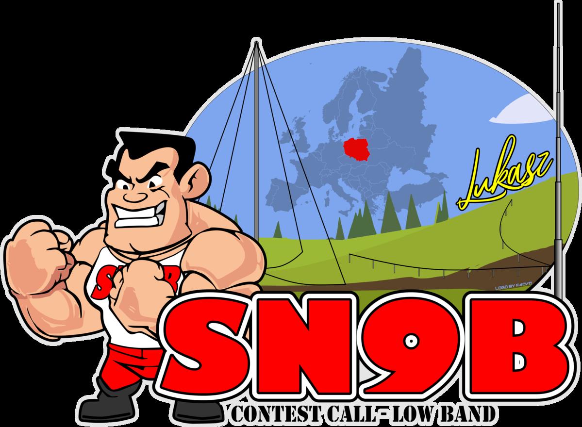 Primary Image for SN9B