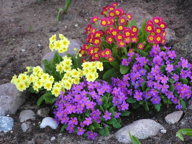 Primary Image for SO5MAB