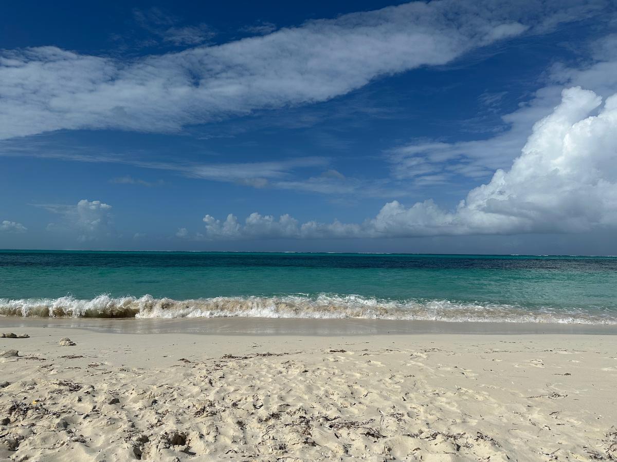 Primary Image for VP5/K5PTB