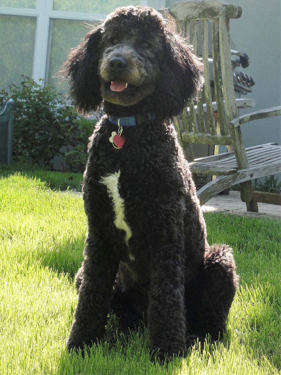 Primary Image for W9CIB