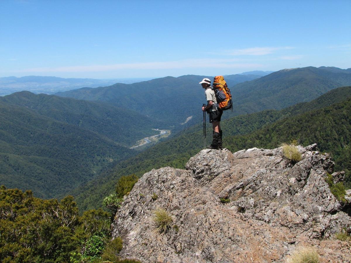 Primary Image for ZL2TNB