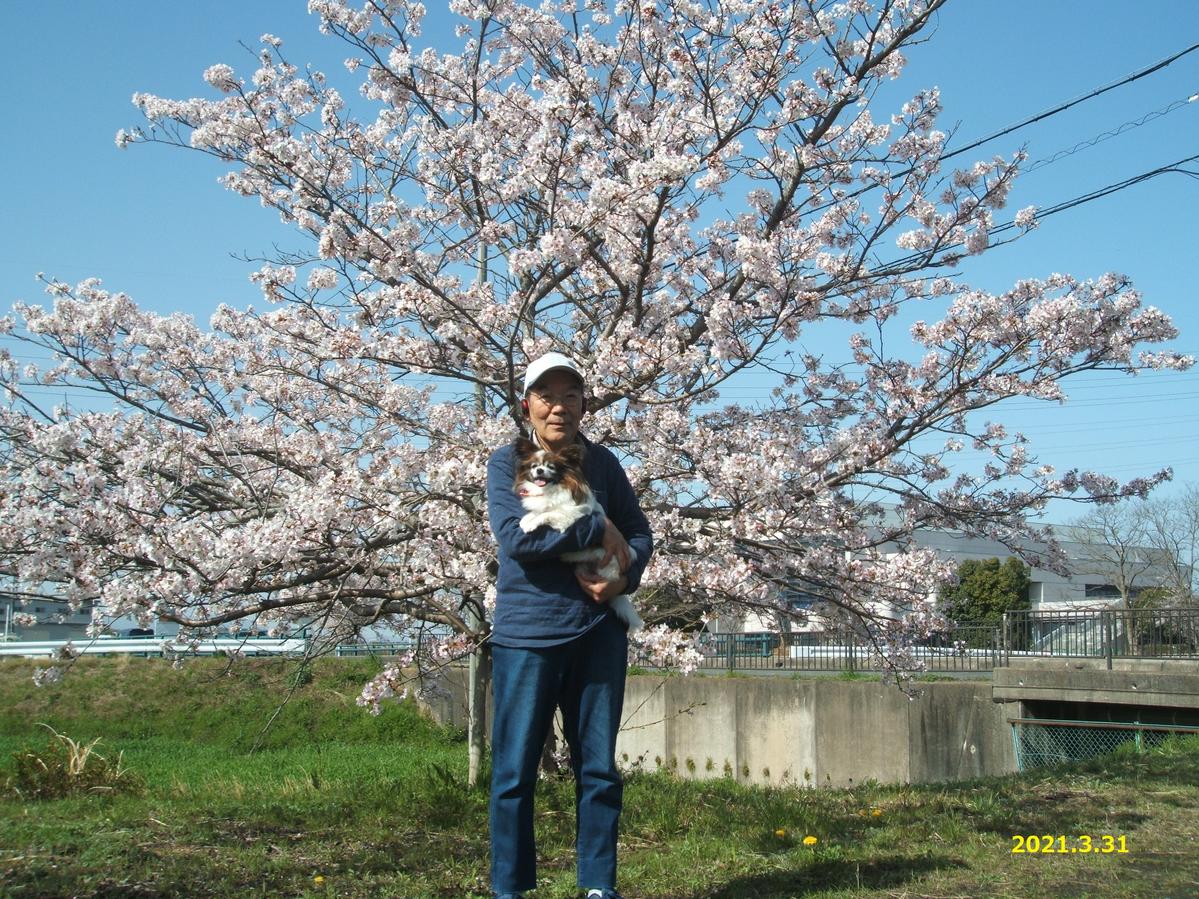 Primary Image for JA3FYC