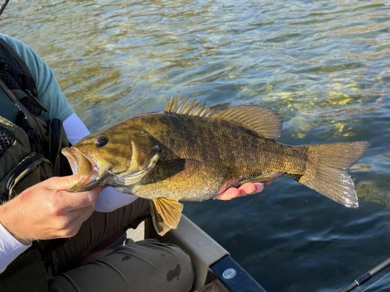 Primary Image for KQ4PZC