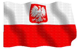 Primary Image for SP8TJC