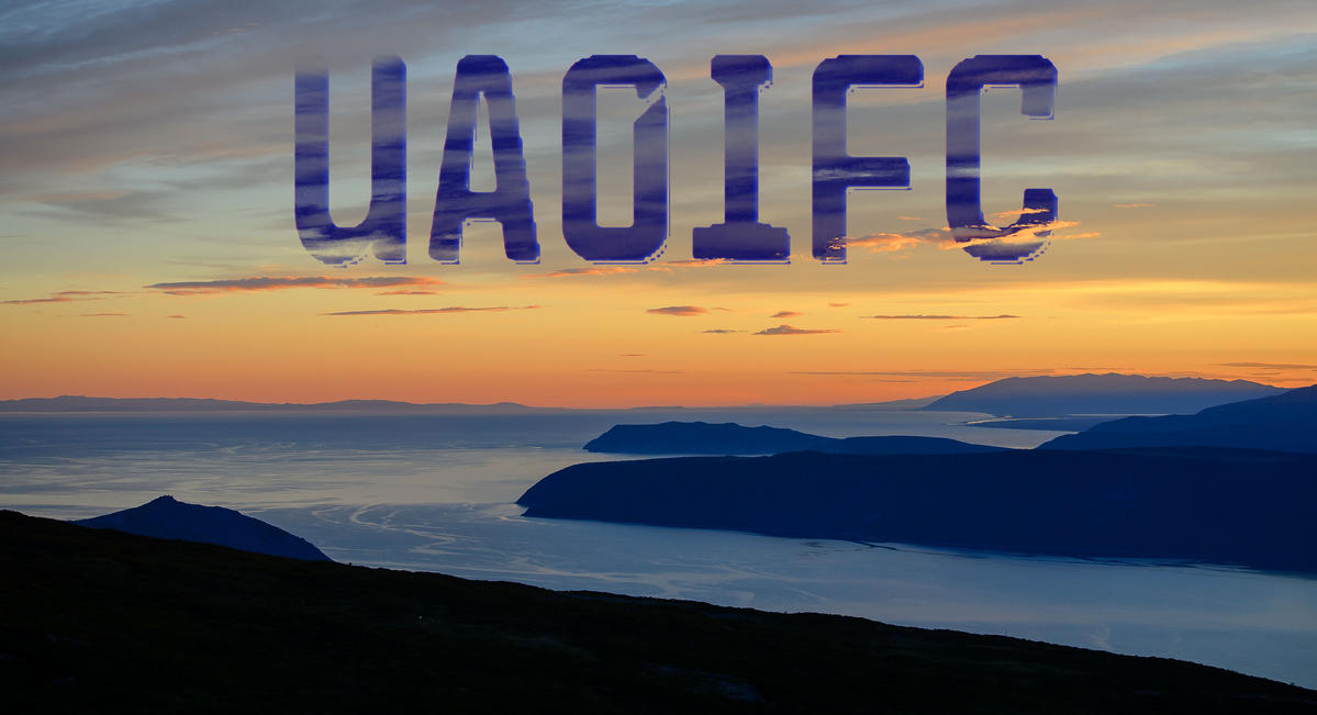 Primary Image for UA0IFC
