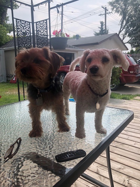 Primary Image for VE4ETC