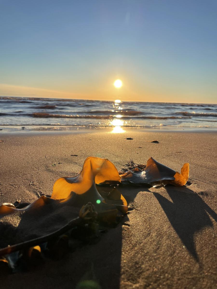 Primary Image for VY2PC