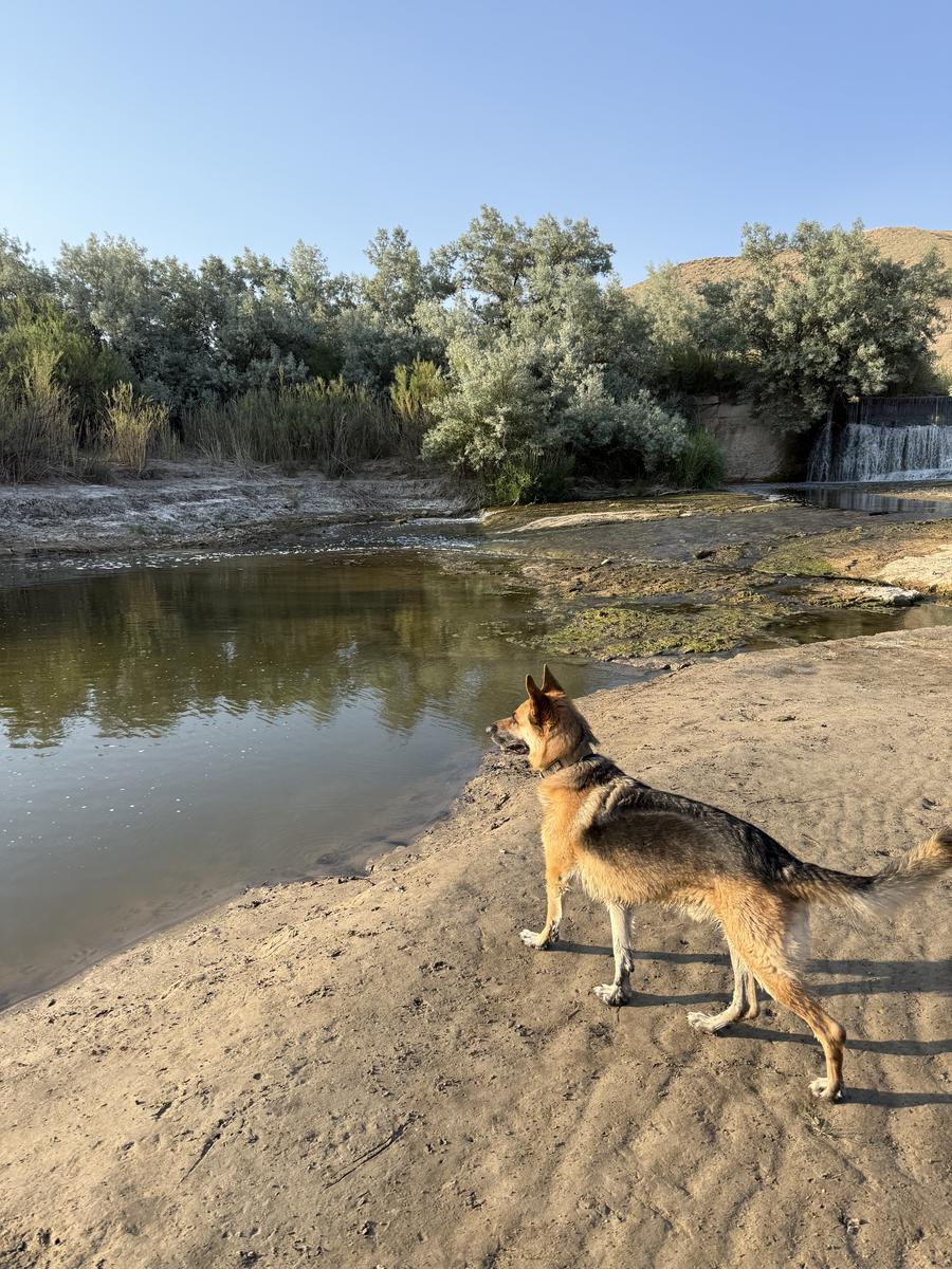 Primary Image for W7NKC