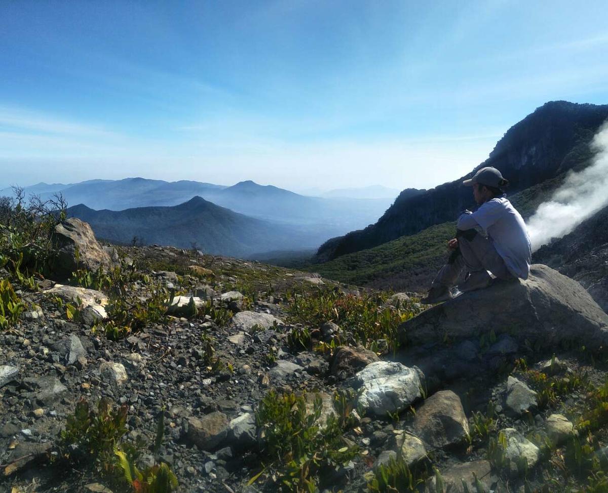 Primary Image for YC1FFC