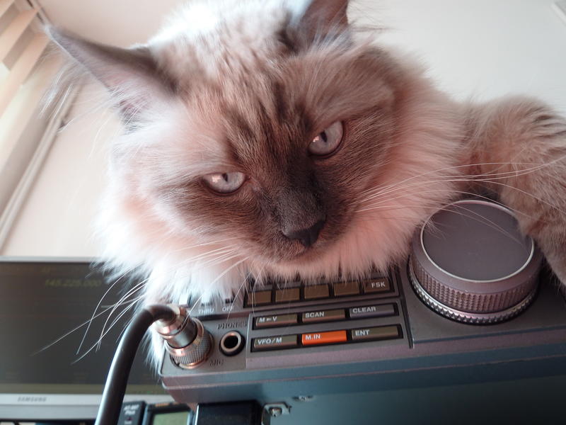 Primary Image for YO3GXC