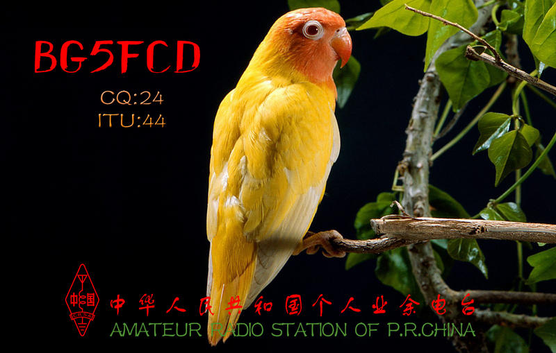 Primary Image for BG5FCD
