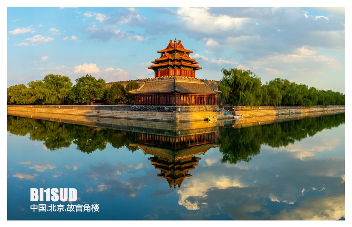 Primary Image for BI1SUD