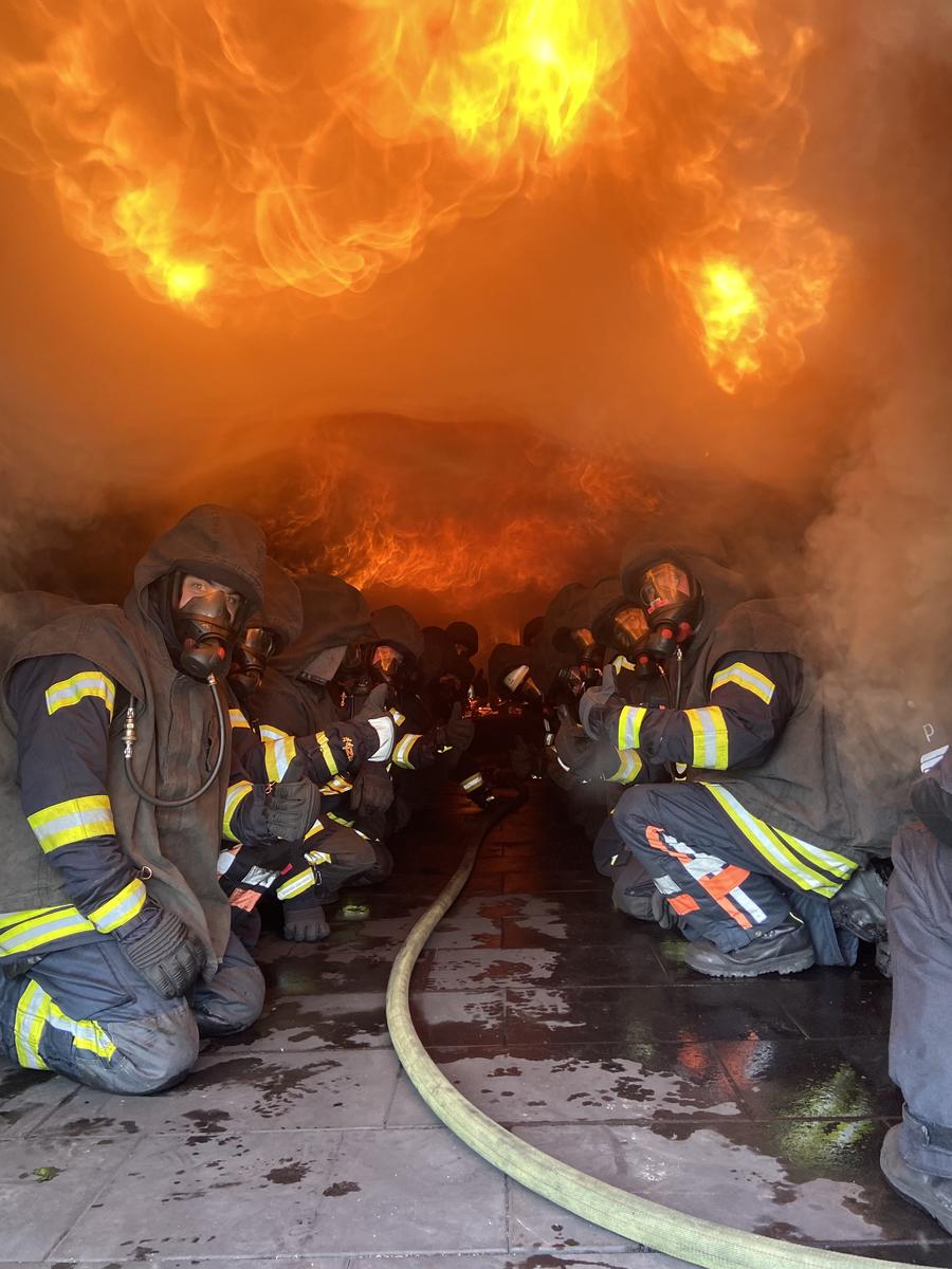 Primary Image for DM6DD