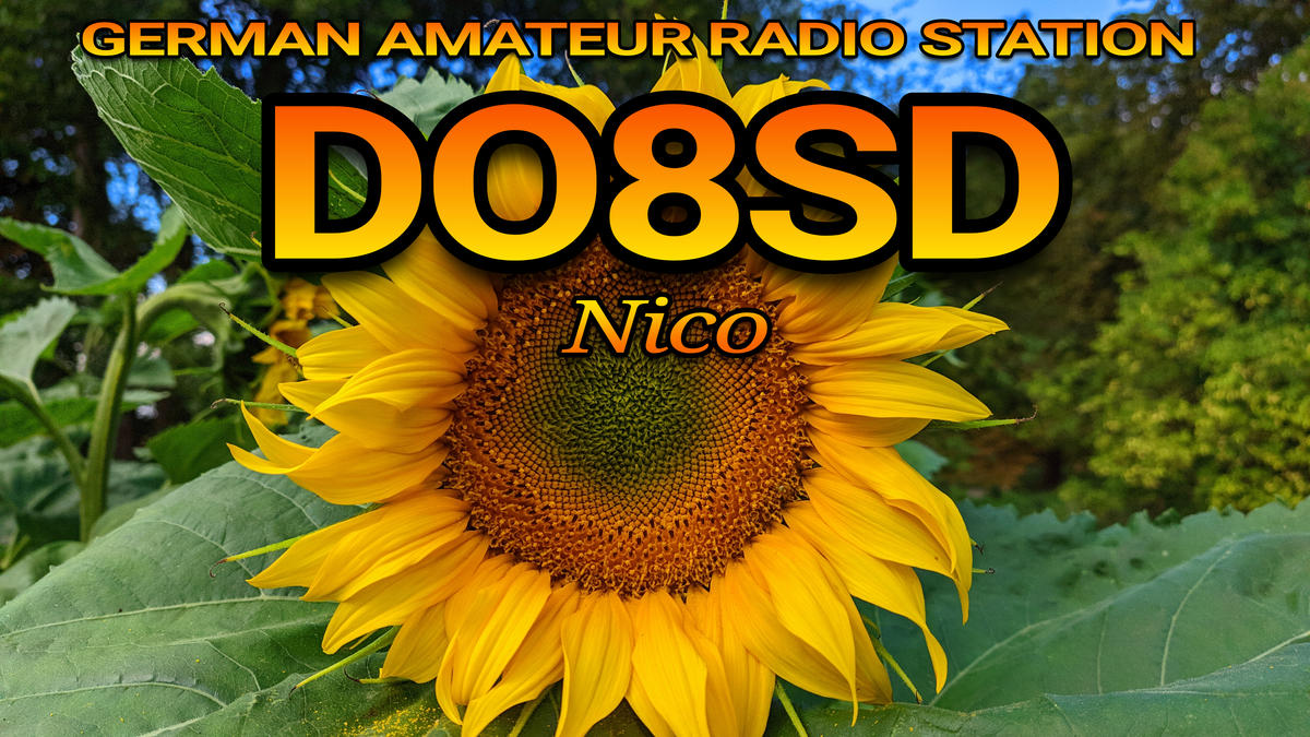 Primary Image for DO8SD